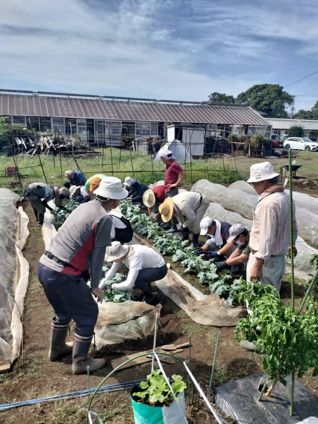 【船橋市】学ぶ場・活かす場・つながる場 ふなばし市民大学校をご紹介