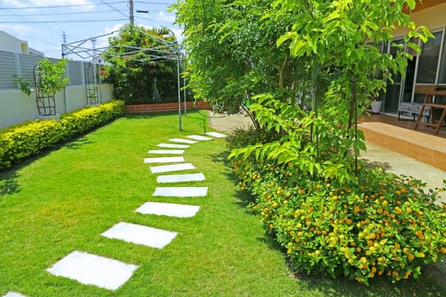 庭木の伐採で後悔しないために|費用相場・危険性・業者選びを終活目線で分かりやすく解説