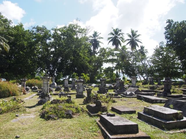 土葬は日本のどこでできる?法律・条例・実施可能エリアを徹底解説