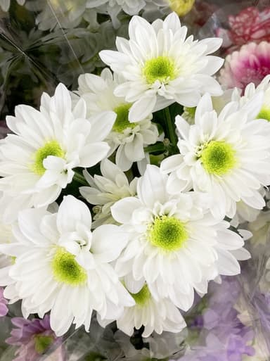 【供花と弔電を一緒に送る方法】丁寧な弔意を示すためのマナーと注意点