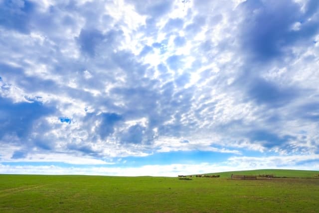 永代供養とは?意味や費用相場、メリット・デメリットを解説