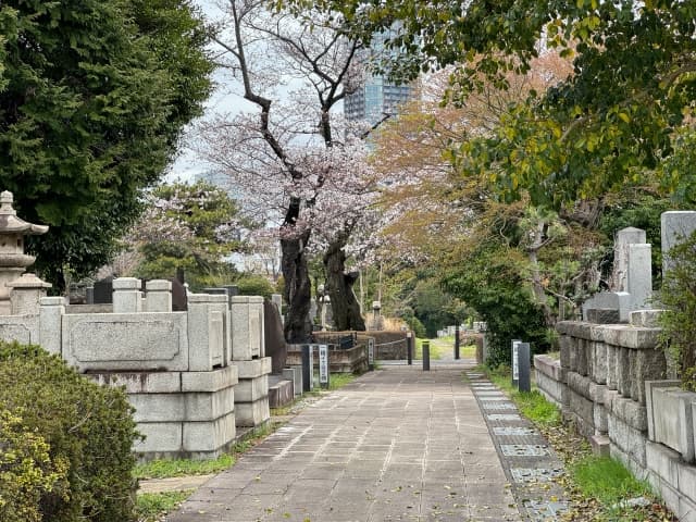 都立霊園はなぜ当たらない?高倍率の理由と外れた時の選択肢