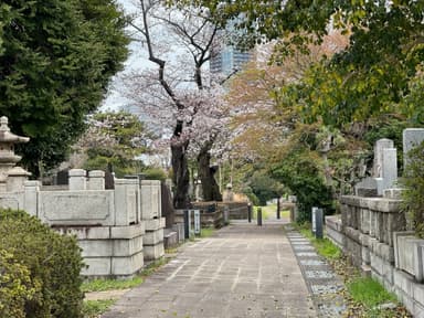 都立霊園はなぜ当たらない?高倍率の理由と外れた時の選択肢